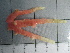  ( - SeaMP_SB422)  @11 [ ] Unspecified (default): All Rights Reserved (2023) Unspecified Unspecified