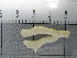  ( - SeaMP_SB424)  @11 [ ] Unspecified (default): All Rights Reserved (2023) Unspecified Unspecified