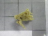  ( - SeaMP_SB054)  @11 [ ] Unspecified (default): All Rights Reserved (2022) Unspecified Unspecified