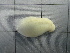  ( - SeaMP_SB073)  @11 [ ] Unspecified (default): All Rights Reserved (2022) Unspecified Unspecified