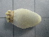  ( - SeaMP_SB075)  @11 [ ] Unspecified (default): All Rights Reserved (2022) Unspecified Unspecified