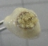  ( - SeaMP_SB076)  @11 [ ] Unspecified (default): All Rights Reserved (2022) Unspecified Unspecified