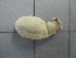  ( - SeaMP_SB078)  @11 [ ] Unspecified (default): All Rights Reserved (2022) Unspecified Unspecified