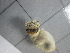  ( - SeaMP_SB078)  @11 [ ] Unspecified (default): All Rights Reserved (2022) Unspecified Unspecified