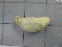  ( - SeaMP_SB097)  @11 [ ] Unspecified (default): All Rights Reserved (2022) Unspecified Unspecified
