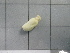  ( - SeaMP_SB098)  @11 [ ] Unspecified (default): All Rights Reserved (2022) Unspecified Unspecified