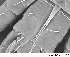  ( - HUJINVACA24)  @11 [ ] CreativeCommons - Attribution Non-Commercial Share-Alike (2017) Eric Palevsky Agricultural Research Organization