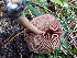  ( - ID 5089)  @11 [ ] Unspecified (default): All Rights Reserved  Unspecified Tomsk State University