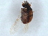  ( - BIOUG05647-F04)  @11 [ ] CreativeCommons - Attribution (2022) CBG Photography Group Centre for Biodiversity Genomics