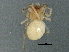  (Neottiura - BIOUG05510-B10)  @14 [ ] CreativeCommons - Attribution (2013) CBG Photography Group Centre for Biodiversity Genomics