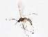  ( - BIOUG05503-A10)  @13 [ ] CreativeCommons - Attribution (2013) CBG Photography Group Centre for Biodiversity Genomics