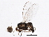  ( - BIOUG05503-G08)  @12 [ ] CreativeCommons - Attribution (2013) CBG Photography Group Centre for Biodiversity Genomics