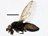  ( - BIOUG05506-G09)  @13 [ ] CreativeCommons - Attribution (2013) CBG Photography Group Centre for Biodiversity Genomics
