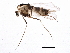  ( - BIOUG05514-D09)  @14 [ ] CreativeCommons - Attribution (2013) CBG Photography Group Centre for Biodiversity Genomics