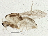  ( - BIOUG05517-F12)  @12 [ ] CreativeCommons - Attribution (2013) CBG Photography Group Centre for Biodiversity Genomics