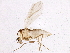 (Tvetenia - BIOUG05528-E10)  @14 [ ] CreativeCommons - Attribution (2013) CBG Photography Group Centre for Biodiversity Genomics