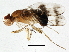  ( - BIOUG05535-A12)  @13 [ ] CreativeCommons - Attribution (2013) CBG Photography Group Centre for Biodiversity Genomics