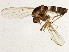  ( - BIOUG05551-H01)  @13 [ ] CreativeCommons - Attribution (2013) CBG Photography Group Centre for Biodiversity Genomics