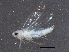  ( - BIOUG05554-E07)  @14 [ ] CreativeCommons - Attribution (2013) CBG Photography Group Centre for Biodiversity Genomics