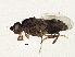  ( - BIOUG05568-H01)  @13 [ ] CreativeCommons - Attribution (2013) CBG Photography Group Centre for Biodiversity Genomics