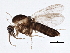  ( - BIOUG05582-C04)  @13 [ ] CreativeCommons - Attribution (2013) CBG Photography Group Centre for Biodiversity Genomics