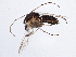  ( - BIOUG05586-F01)  @13 [ ] CreativeCommons - Attribution (2013) CBG Photography Group Centre for Biodiversity Genomics