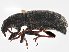  ( - BIOUG05605-H10)  @14 [ ] CreativeCommons - Attribution (2013) CBG Photography Group Centre for Biodiversity Genomics