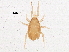  ( - BIOUG05606-A01)  @12 [ ] CreativeCommons - Attribution (2013) CBG Photography Group Centre for Biodiversity Genomics