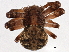  ( - BIOUG05606-F01)  @13 [ ] CreativeCommons - Attribution (2013) CBG Photography Group Centre for Biodiversity Genomics