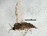  ( - BIOUG05616-H04)  @12 [ ] CreativeCommons - Attribution (2013) CBG Photography Group Centre for Biodiversity Genomics