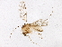  ( - BIOUG05624-G11)  @14 [ ] CreativeCommons - Attribution (2013) CBG Photography Group Centre for Biodiversity Genomics
