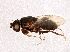  ( - BIOUG05646-H07)  @13 [ ] CreativeCommons - Attribution (2013) CBG Photography Group Centre for Biodiversity Genomics