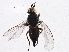 ( - BIOUG05650-E12)  @12 [ ] CreativeCommons - Attribution (2013) CBG Photography Group Centre for Biodiversity Genomics