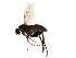  ( - BIOUG05683-C08)  @13 [ ] CreativeCommons - Attribution (2013) CBG Photography Group Centre for Biodiversity Genomics