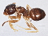  ( - BIOUG05717-B05)  @14 [ ] CreativeCommons - Attribution (2013) CBG Photography Group Centre for Biodiversity Genomics