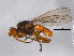  ( - BIOUG05502-D02)  @14 [ ] CreativeCommons - Attribution (2012) CBG Photography Group Centre for Biodiversity Genomics
