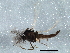  ( - BIOUG05503-A03)  @13 [ ] CreativeCommons - Attribution (2013) CBG Photography Group Centre for Biodiversity Genomics