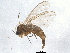  ( - BIOUG05503-D03)  @12 [ ] CreativeCommons - Attribution (2012) CBG Photography Group Centre for Biodiversity Genomics