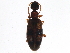  ( - BIOUG05512-A02)  @13 [ ] CreativeCommons - Attribution (2013) CBG Photography Group Centre for Biodiversity Genomics
