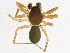  ( - BIOUG05512-B08)  @13 [ ] CreativeCommons - Attribution (2013) CBG Photography Group Centre for Biodiversity Genomics