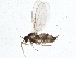  ( - BIOUG05512-H02)  @13 [ ] CreativeCommons - Attribution (2013) CBG Photography Group Centre for Biodiversity Genomics