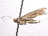  ( - BIOUG05513-G02)  @12 [ ] CreativeCommons - Attribution (2012) CBG Photography Group Centre for Biodiversity Genomics
