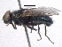  ( - BIOUG05518-F02)  @14 [ ] CreativeCommons - Attribution (2012) CBG Photography Group Centre for Biodiversity Genomics