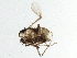  ( - BIOUG05519-H08)  @12 [ ] CreativeCommons - Attribution (2013) CBG Photography Group Centre for Biodiversity Genomics