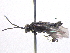  ( - BIOUG05530-F05)  @12 [ ] CreativeCommons - Attribution (2012) CBG Photography Group Centre for Biodiversity Genomics