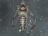  ( - BIOUG05536-E01)  @13 [ ] CreativeCommons - Attribution (2013) CBG Photography Group Centre for Biodiversity Genomics