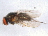  ( - BIOUG05537-A11)  @12 [ ] CreativeCommons - Attribution (2012) CBG Photography Group Centre for Biodiversity Genomics