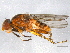  ( - BIOUG05537-D08)  @14 [ ] CreativeCommons - Attribution (2012) CBG Photography Group Centre for Biodiversity Genomics