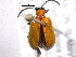  ( - BIOUG05540-D10)  @13 [ ] CreativeCommons - Attribution (2012) CBG Photography Group Centre for Biodiversity Genomics
