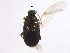 ( - BIOUG05551-B04)  @13 [ ] CreativeCommons - Attribution (2012) CBG Photography Group Centre for Biodiversity Genomics